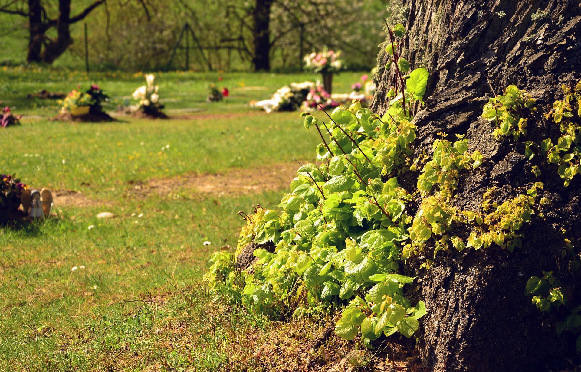 Understanding Lawn Crypts - What Are They & Why To Buy One