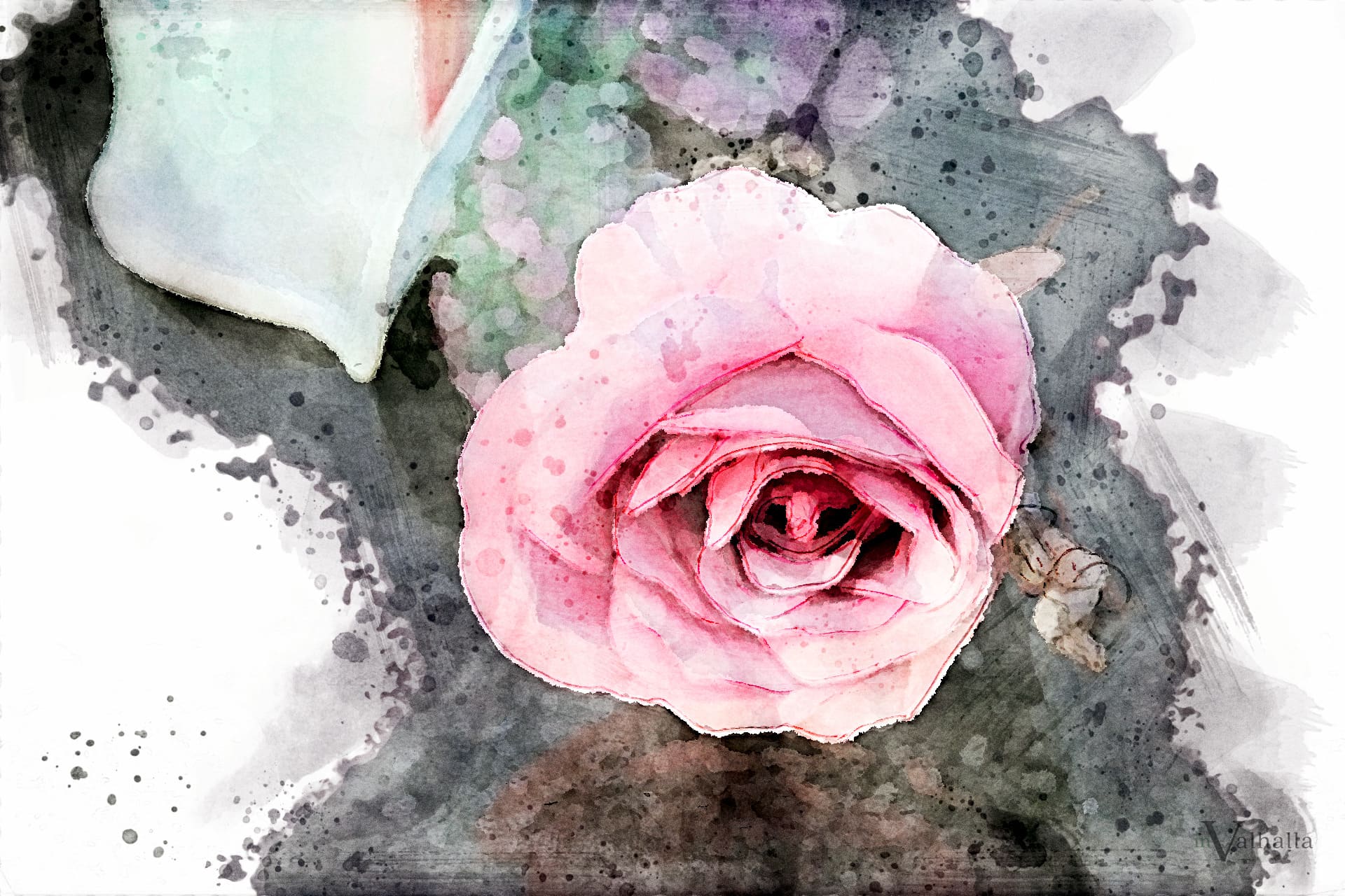 Funeral Flowers - Rose